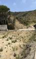 1231 Las Lomas - Photo 22