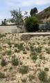 1231 Las Lomas - Photo 23