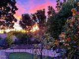 1231 Las Lomas - Photo 5