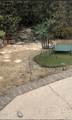1231 Las Lomas - Photo 9