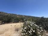 1 Shannon Valley - Photo 11