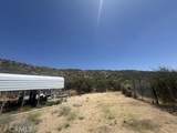 1 Shannon Valley - Photo 15