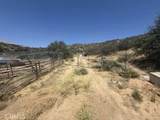 1 Shannon Valley - Photo 5