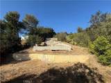 4119 Maguire - Photo 8