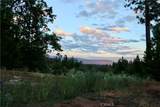 53235 Finegold Creek Court - Photo 4