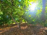 43605 Los Gatos - Photo 35