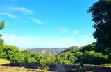 43605 Los Gatos - Photo 53