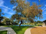  502 Calle Montecito - Photo 33