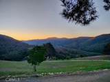 1176 Jack Rabbit - Photo 1
