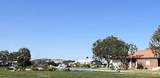24600 Mountain - Photo 44