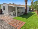 14 Yucca - Photo 1
