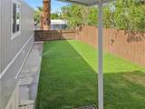 14 Yucca - Photo 5