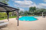 32843 Temet Drive - Photo 28