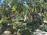 3690 Bear - Photo 28