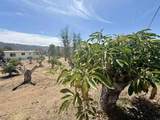 1843 Canyon Heights Road - Photo 31