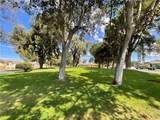 2124 Via Visalia - Photo 19