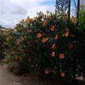 32302 Alipaz - Photo 39