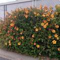 32302 Alipaz - Photo 40