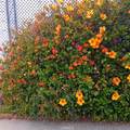 32302 Alipaz - Photo 42