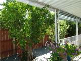 1065 Elk - Photo 49
