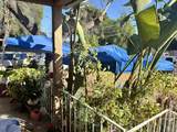 1270 Marline Avenue - Photo 40