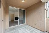 3545 Caminito El Rincon - Photo 29