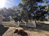 30247 Chihuahua Valley Road - Photo 30