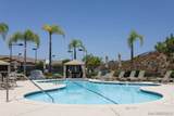 10910 Serafina Lane - Photo 46