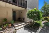 3507 Caminito Sierra - Photo 50
