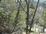 27346 N Bay Rd - Photo 4