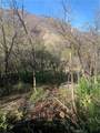 0 Four Trees Road - Photo 6
