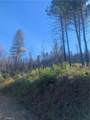 0 Four Trees Road - Photo 7