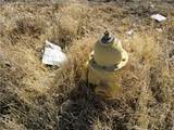 459601 Prapi - Photo 7