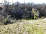 9741 Oroville Quincy - Photo 10