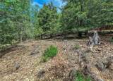 8833 Fox - Photo 12