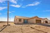 0 Tortoise - Photo 8
