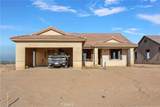 0 Tortoise - Photo 9