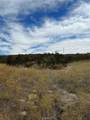 0 Sage & Red Mountain - Photo 9