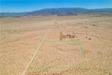 8888 Mesa - Photo 3