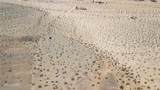 609 Samarkand - Photo 2