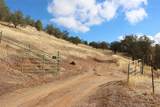 0 Road 400 - Photo 21