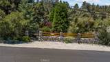 14329 Voltaire Drive - Photo 4