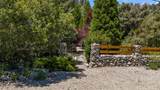 14329 Voltaire Drive - Photo 5