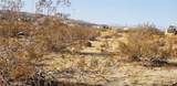 26 Seely - Photo 1