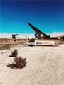 29 Palms - Photo 5