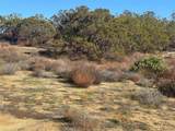 40570 Elm Brush - Photo 26