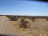 2 Brown - Photo 2