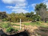 2205 Bautista - Photo 12