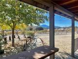 49624 Park Avenue - Photo 1