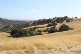 71901 Vineyard Canyon Road - Photo 2